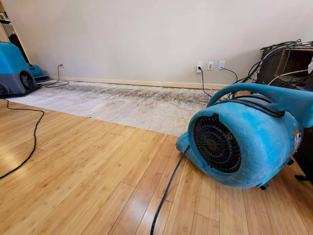 Reliable Basement Flood Cleanup contractor in Williamsburg, MO by Hirex Water Damage