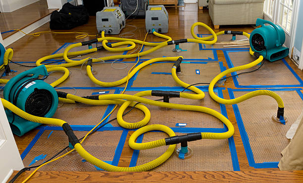 Professional Basement Flood Cleanup technician working in Williamsburg, MO